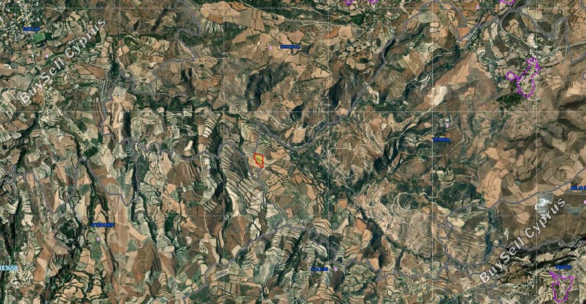 land for sale drynia paphos 8336021 image 14333192