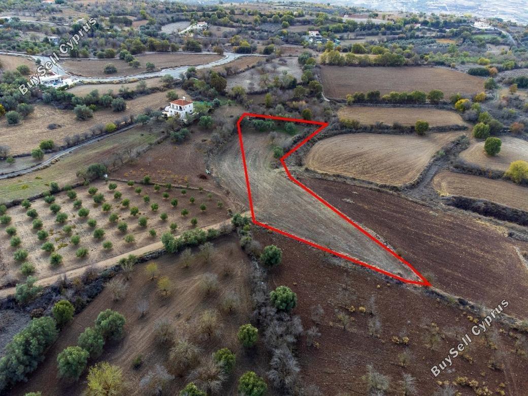 land for sale lasa paphos 1898021 image 14210776