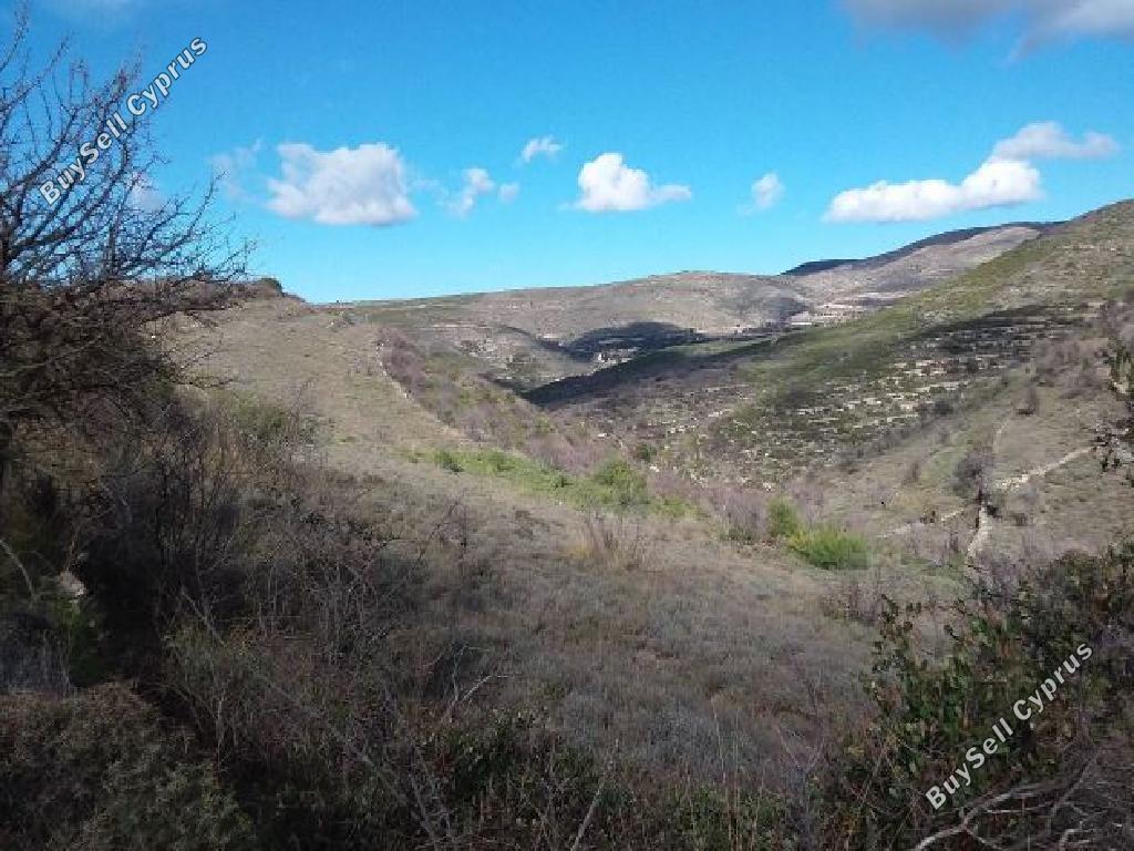 land for sale malia limassol 1029021 image 15603232