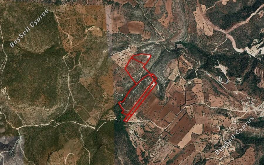 land for sale neo chorio paphos 1355121 image 13008986