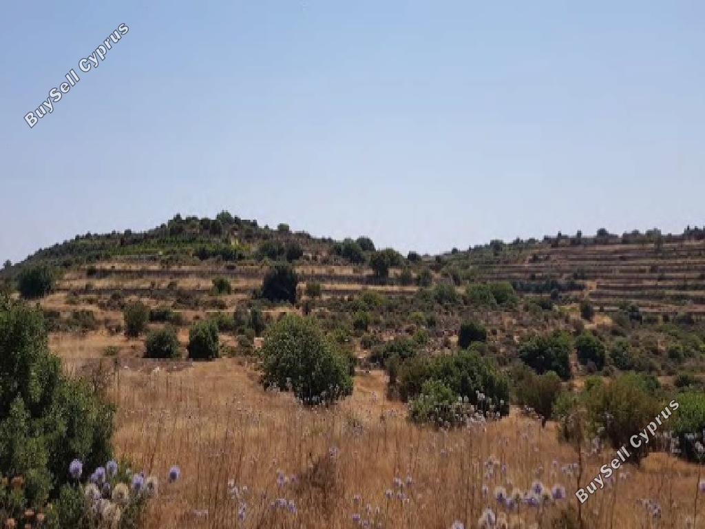 land for sale pachna limassol 1369121 image 15599703