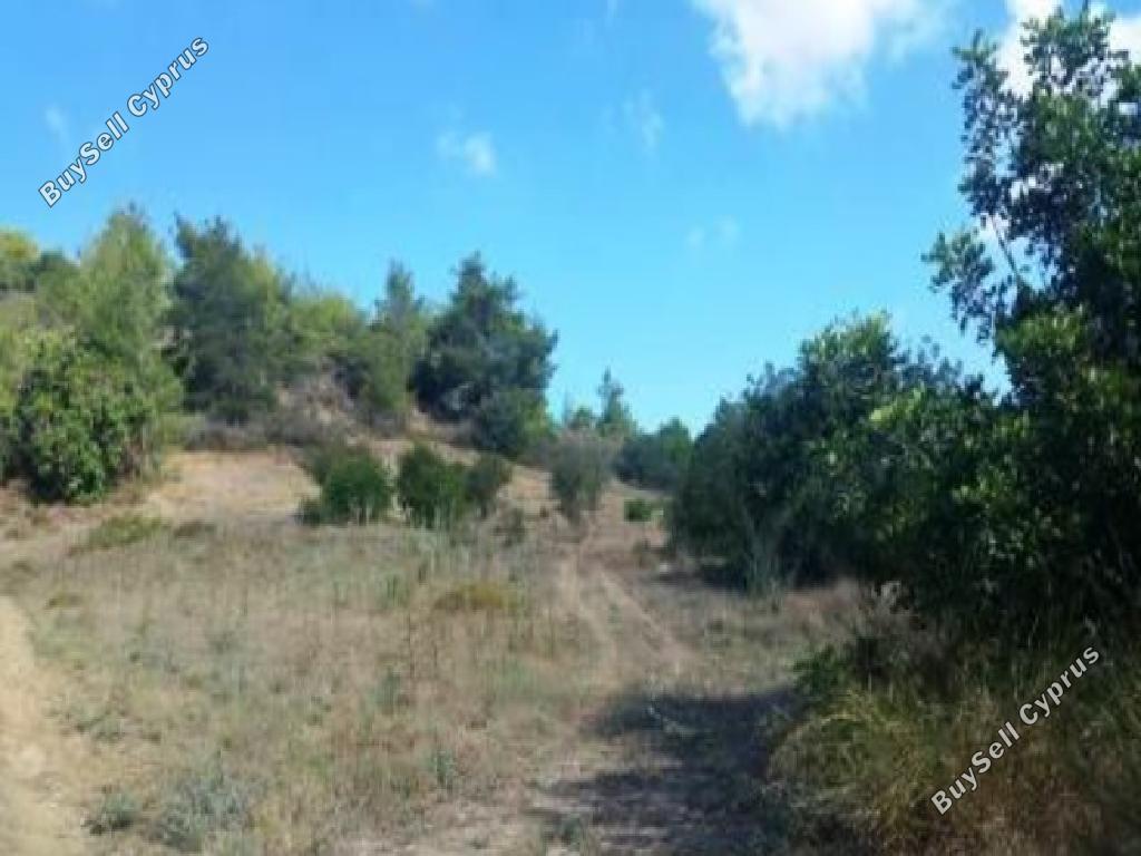 land for sale peristerona pafou paphos 1279121 image 15598641