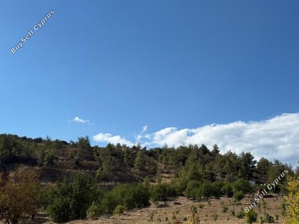 land for sale peristerona pafou paphos 1279121 image 17343314