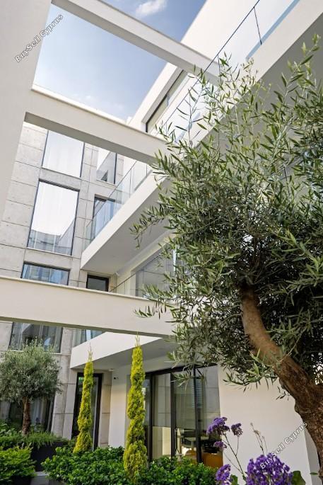 studio office for rent katholiki limassol 8880121 image 17263200