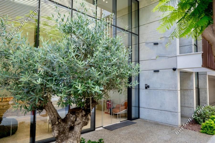 studio office for rent katholiki limassol 8880121 image 17263202