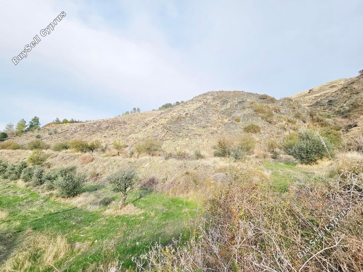 land for sale agia varvara paphos 7934221 image 11274547
