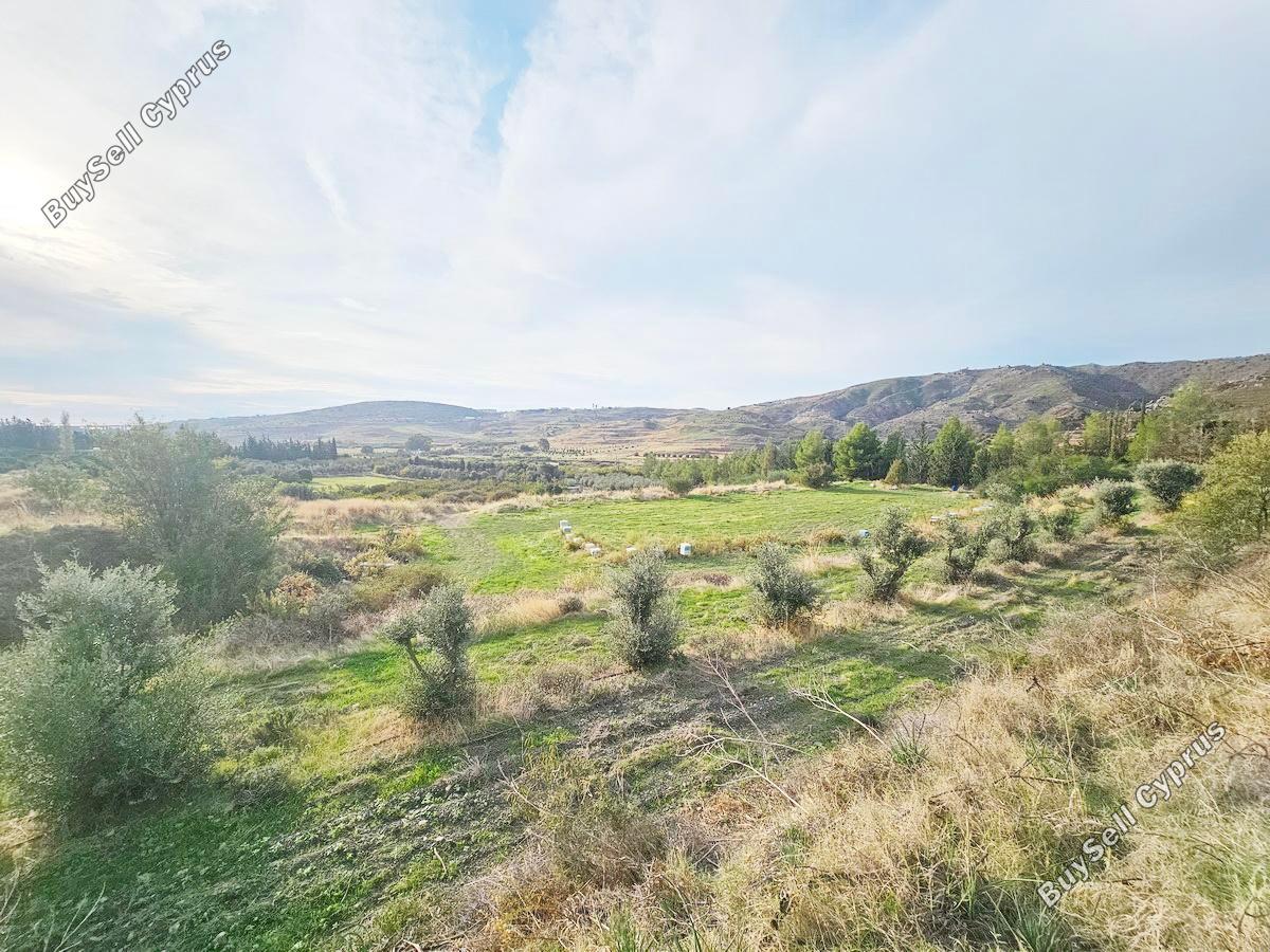 land for sale agia varvara paphos 7934221 image 11274550