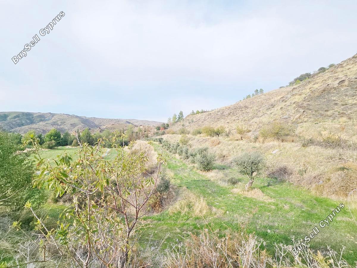 land for sale agia varvara paphos 7934221 image 11274552