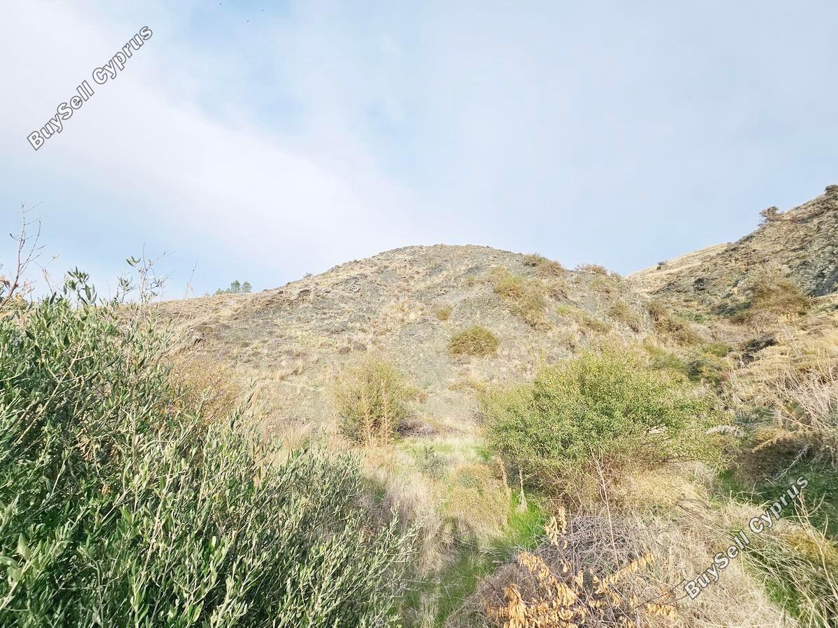 land for sale agia varvara paphos 7934221 image 11274553