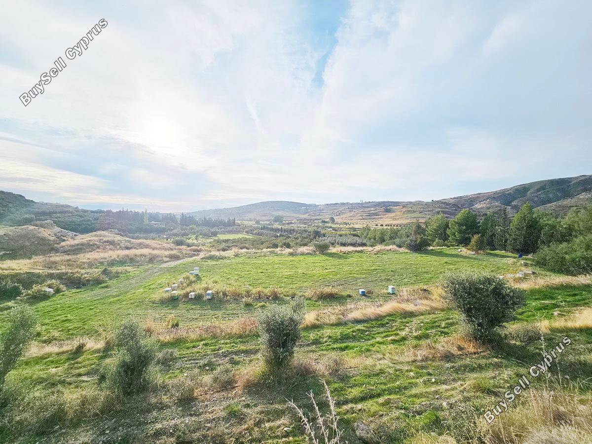 land for sale agia varvara paphos 7934221 image 11274554