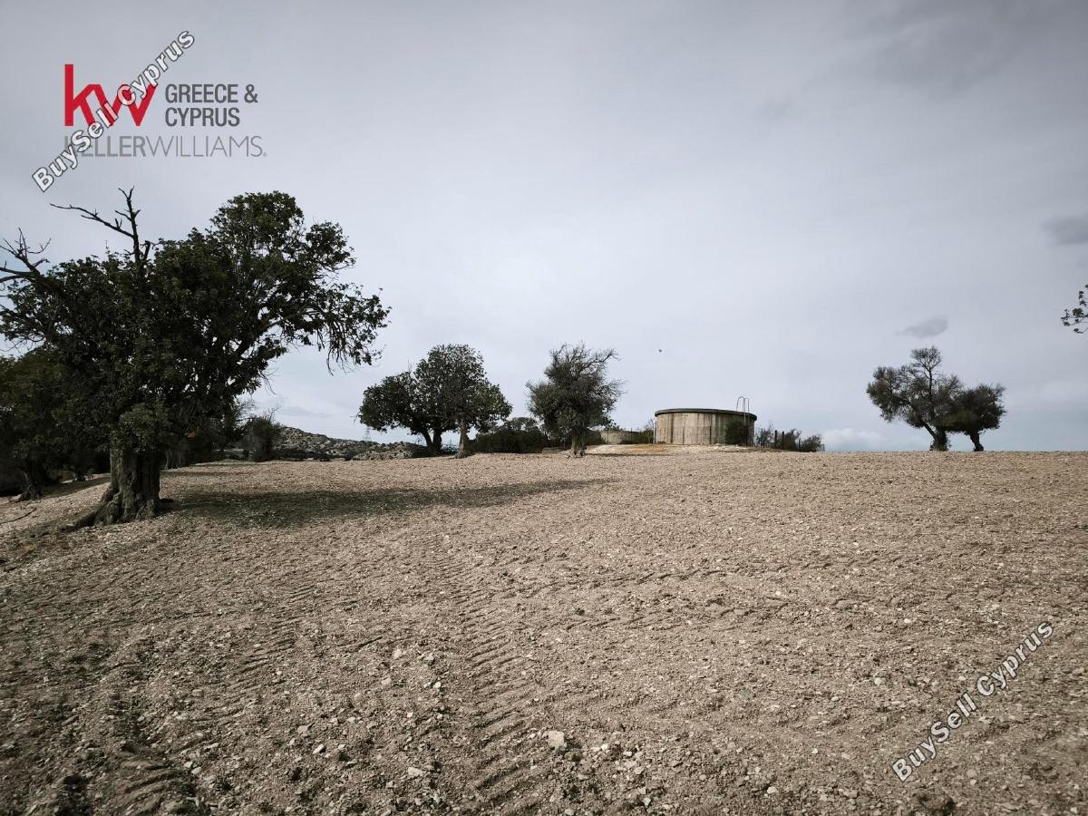 plot for sale agios theodoros larnacas larnaca 8495221 image 16138177