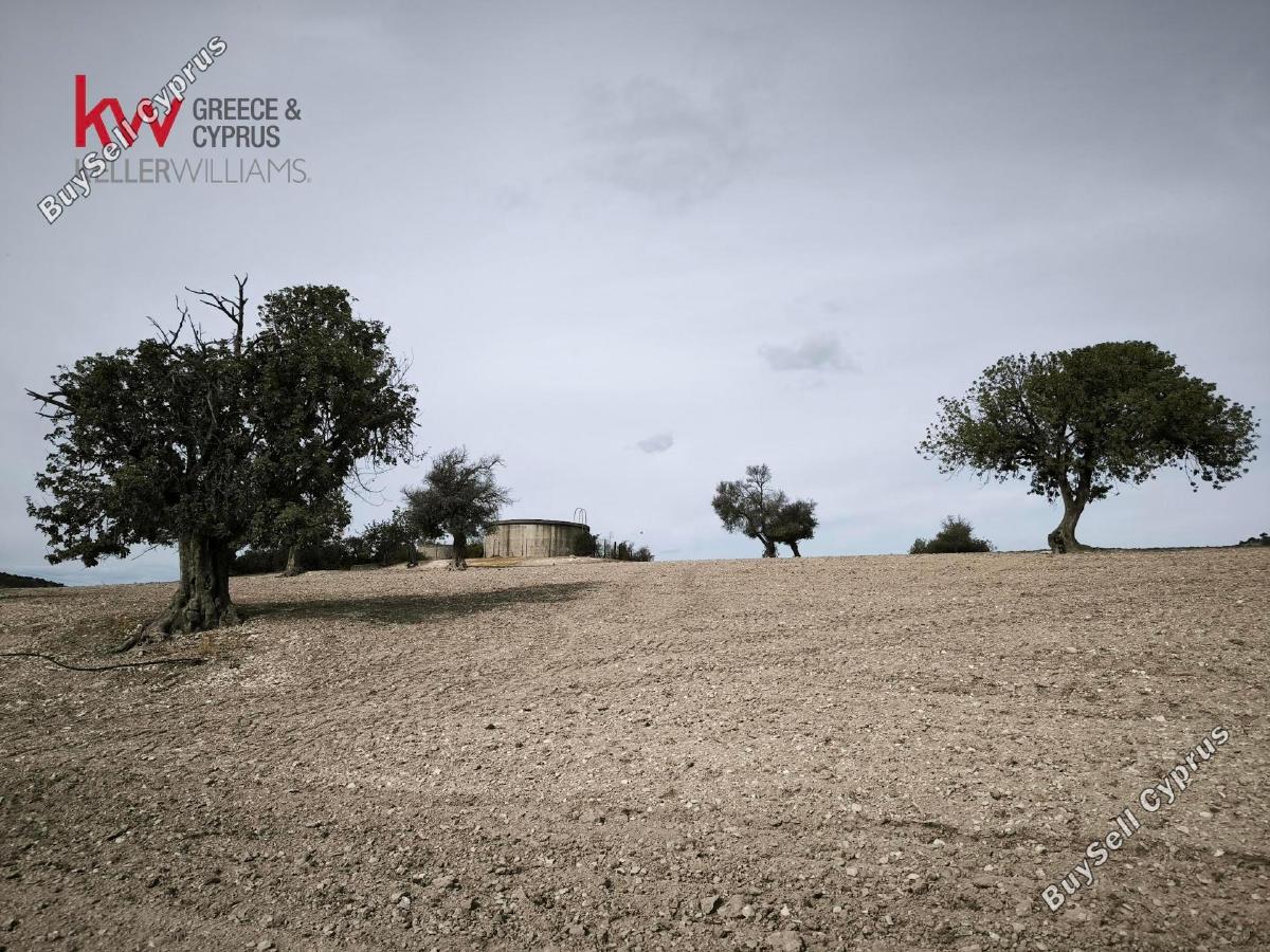 plot for sale agios theodoros larnacas larnaca 8495221 image 16138179