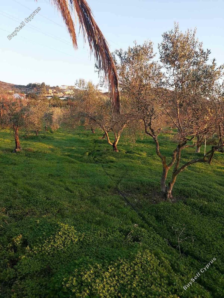 1600 SQM Plot for sale in Skarinou, Larnaca 15925363