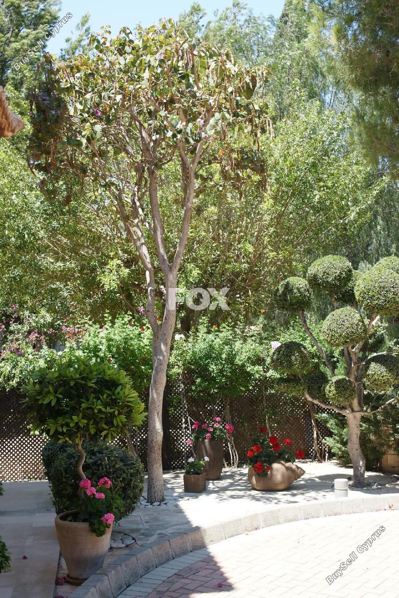 5 bedroom detached house for sale aphrodite hills paphos 8785321 image 16649099