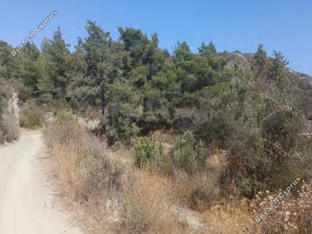 land for sale kellaki limassol 8968321 image 17869683