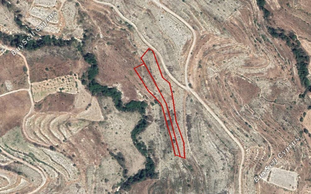 land for sale pachna limassol 829321 image 11082202