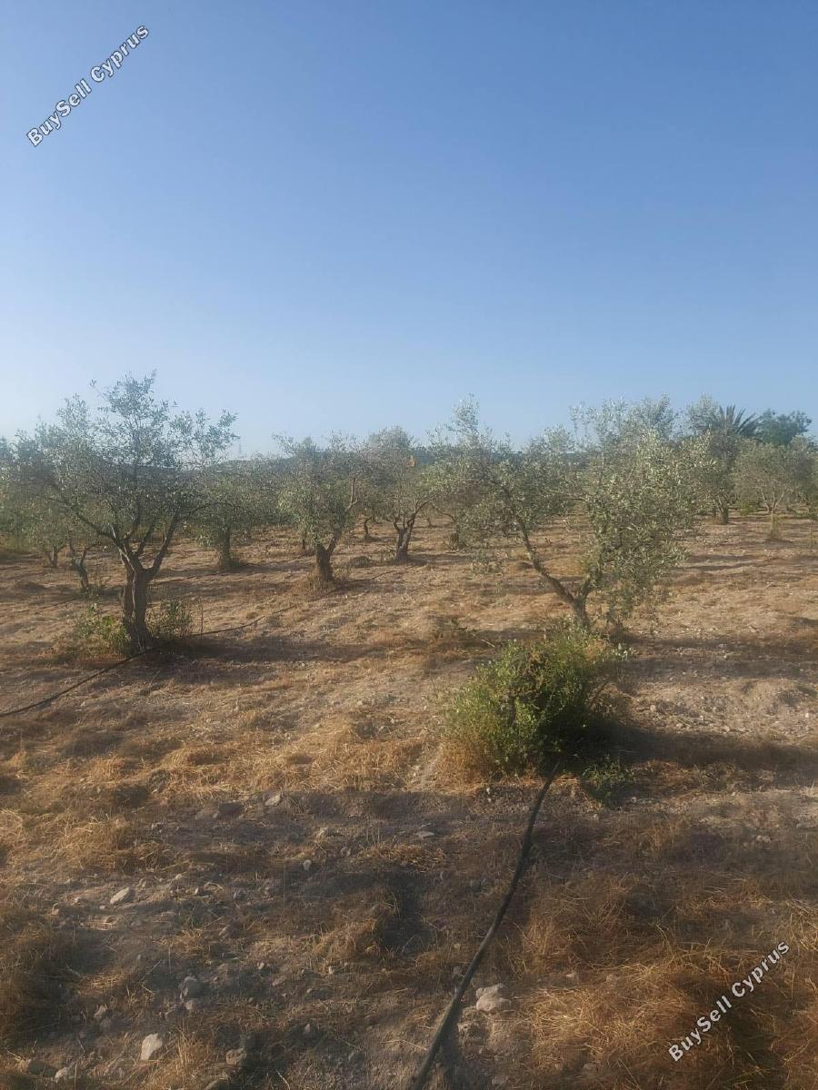 plot for sale skarinou larnaca 8633321 image 15925362