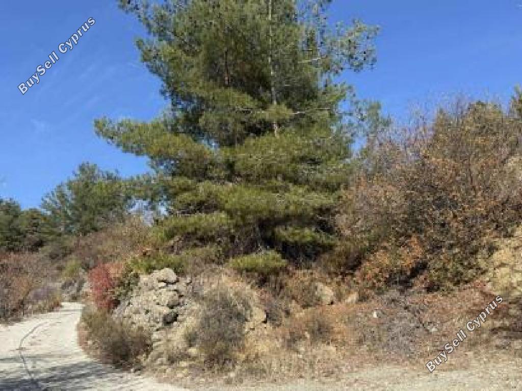 3011 SQM Land for sale in Kyperounta, Limassol 16700694