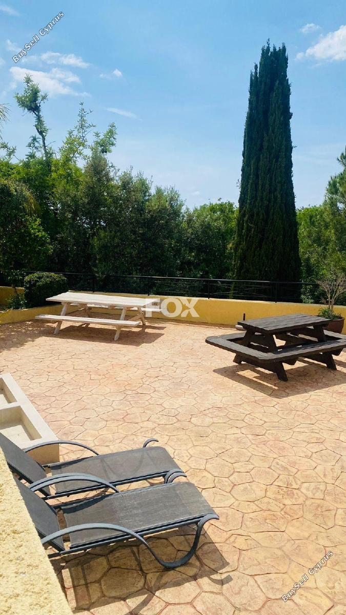 2 bedroom apartment for rent tala paphos 8649421 image 15949633