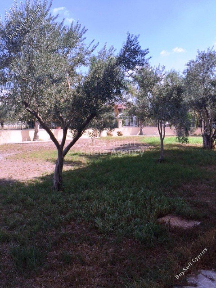 5 bedroom detached house for sale pano lakatamia nicosia 1152421 image 5153847
