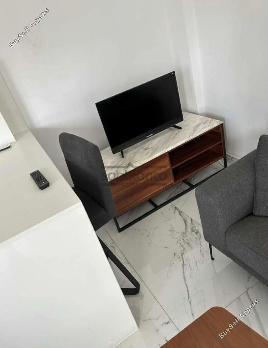 1 bedroom apartment for rent agios dometios nicosia 8748521 image 16465650