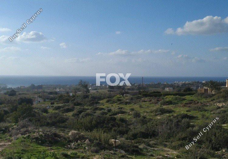 land for sale peyia paphos 1159521 image 5525196