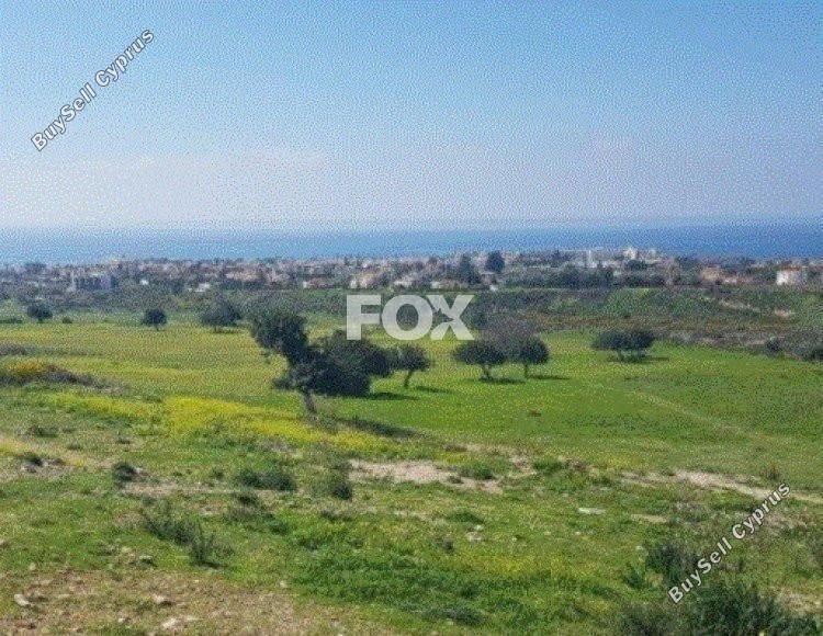 land for sale peyia paphos 1159521 image 5525200