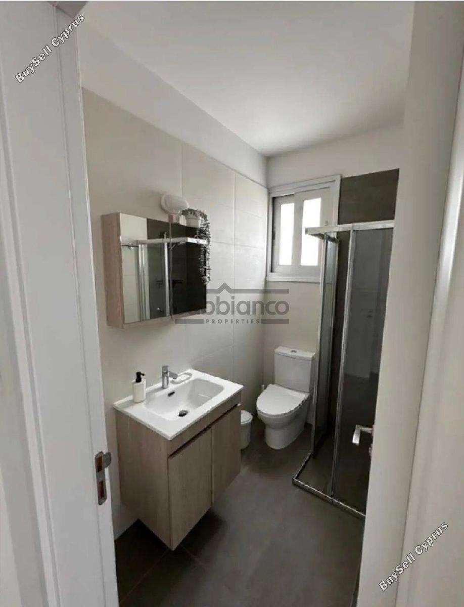 2 bedroom apartment for rent kato lakatamia nicosia 8752621 image 16504537