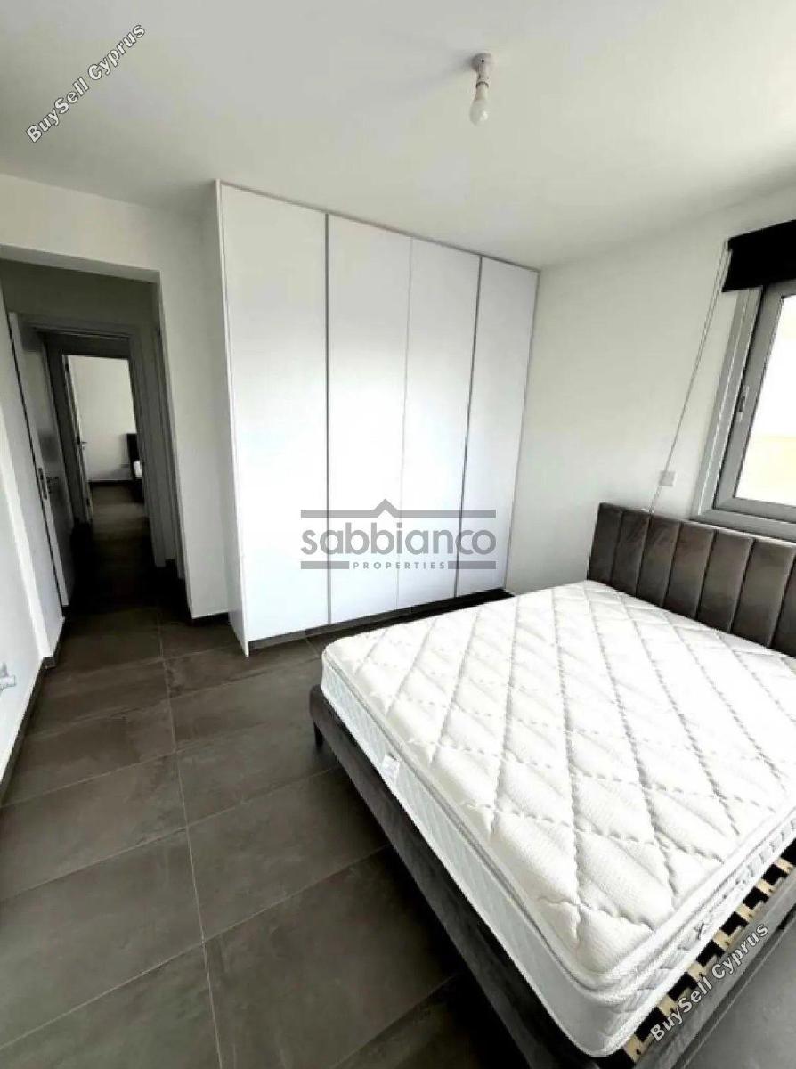 2 bedroom apartment for rent kato lakatamia nicosia 8752621 image 16504544