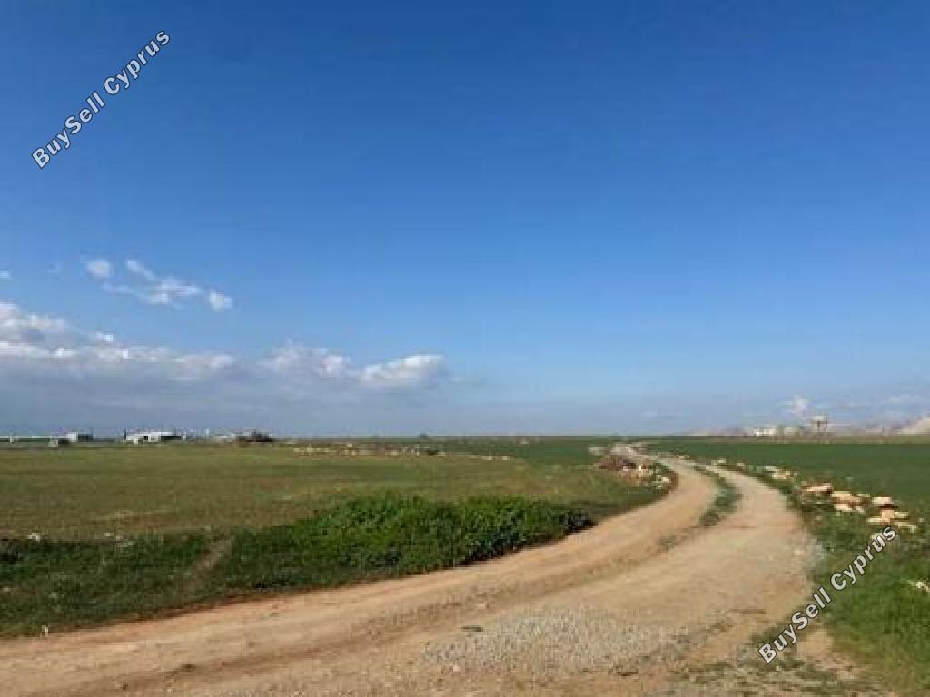 land for sale kokkinotrimithia nicosia 1868621 image 6894023