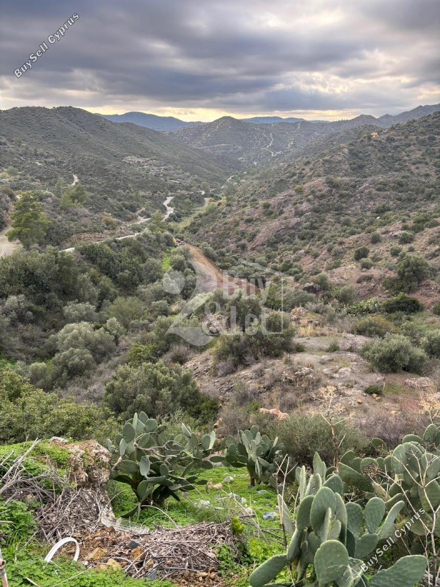 land for sale lageia larnaca 7619621 image 16601985
