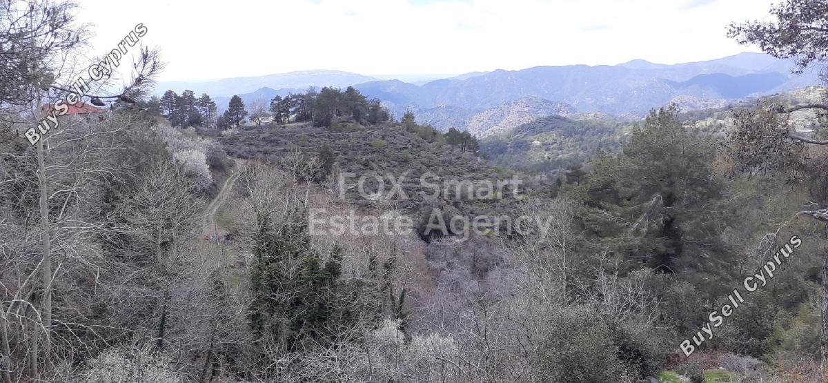 land for sale prodromos limassol 1180621 image 15608494