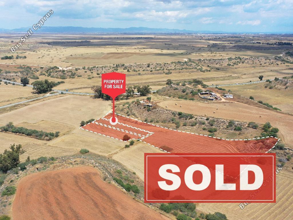 land sold avgorou famagusta 7609621 image 9774659