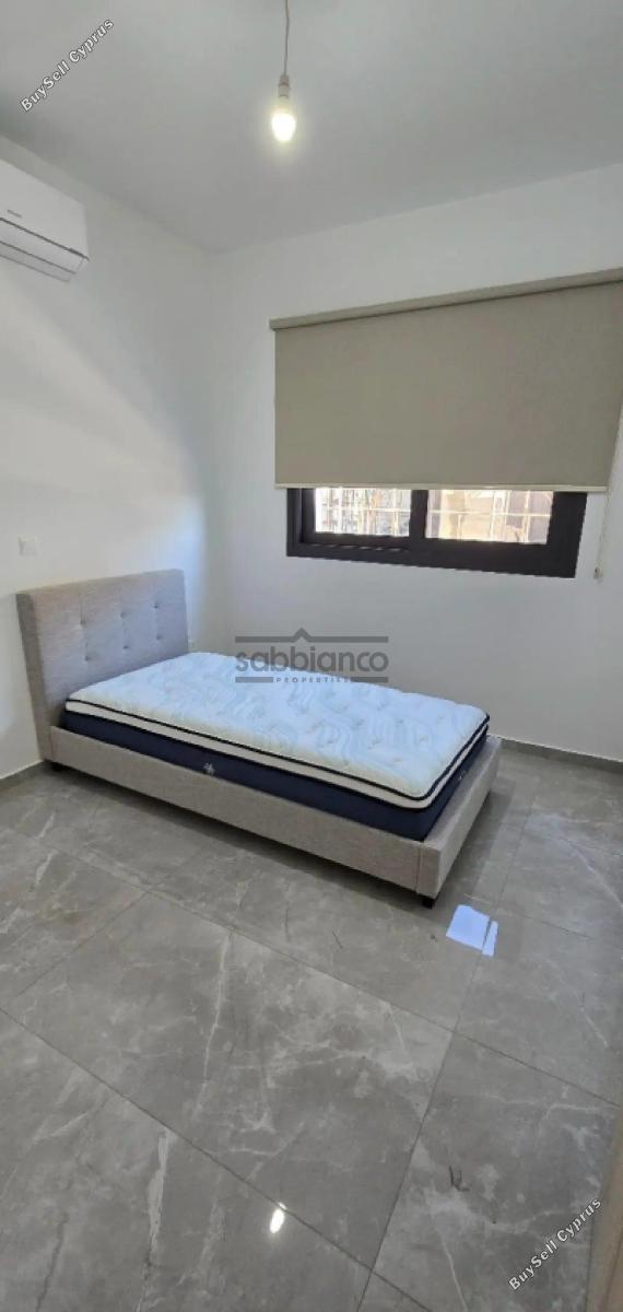 2 bedroom apartment for rent ypsonas limassol 8791721 image 16682558