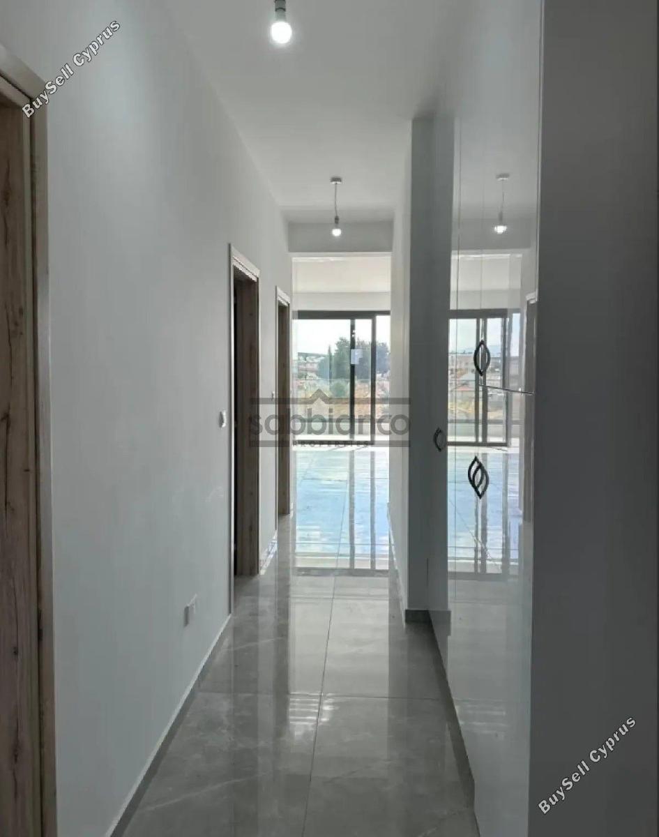 2 bedroom apartment for rent ypsonas limassol 8791721 image 16682560