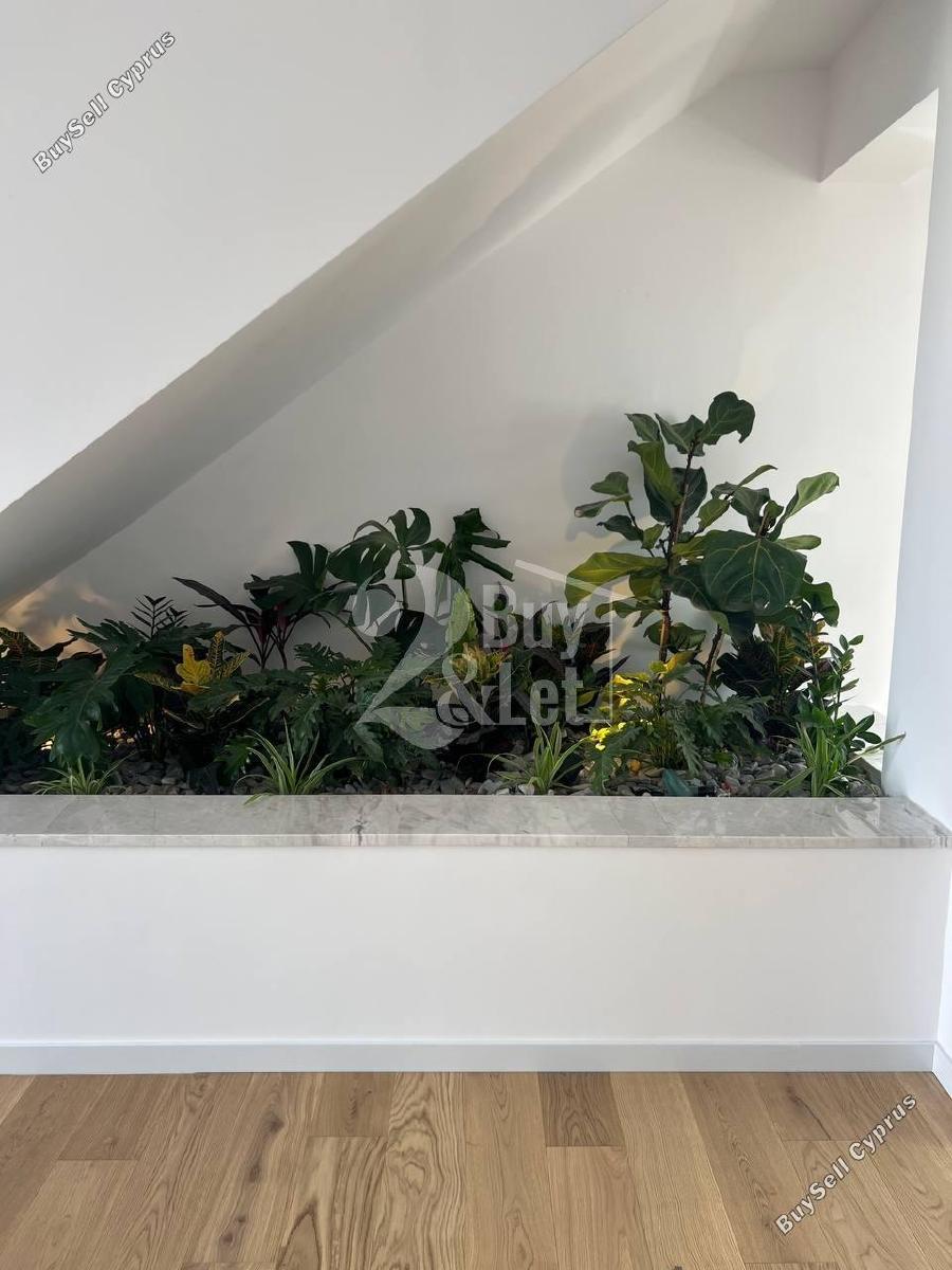 3 bedroom penthouse for sale agios nektarios limassol 8665721 image 16008772