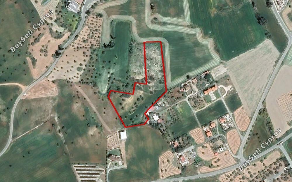 land for sale mazotos larnaca 830721 image 4129533