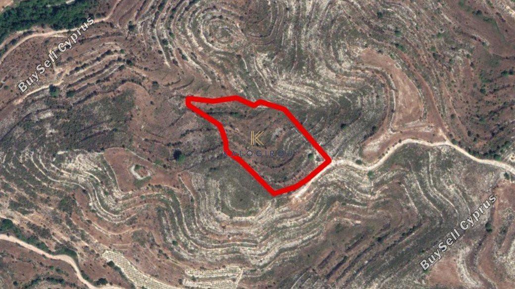 land for sale pachna limassol 1194721 image 5569705