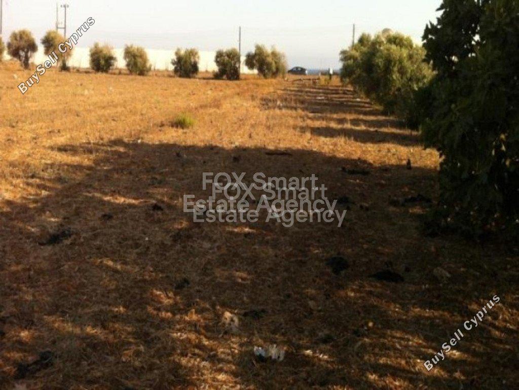 plot for sale maroni larnaca 8838821 image 17031913