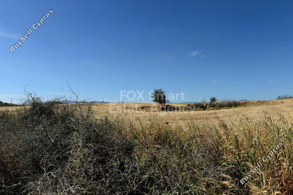 studio shop for sale ergates nicosia 8771821 image 16583300
