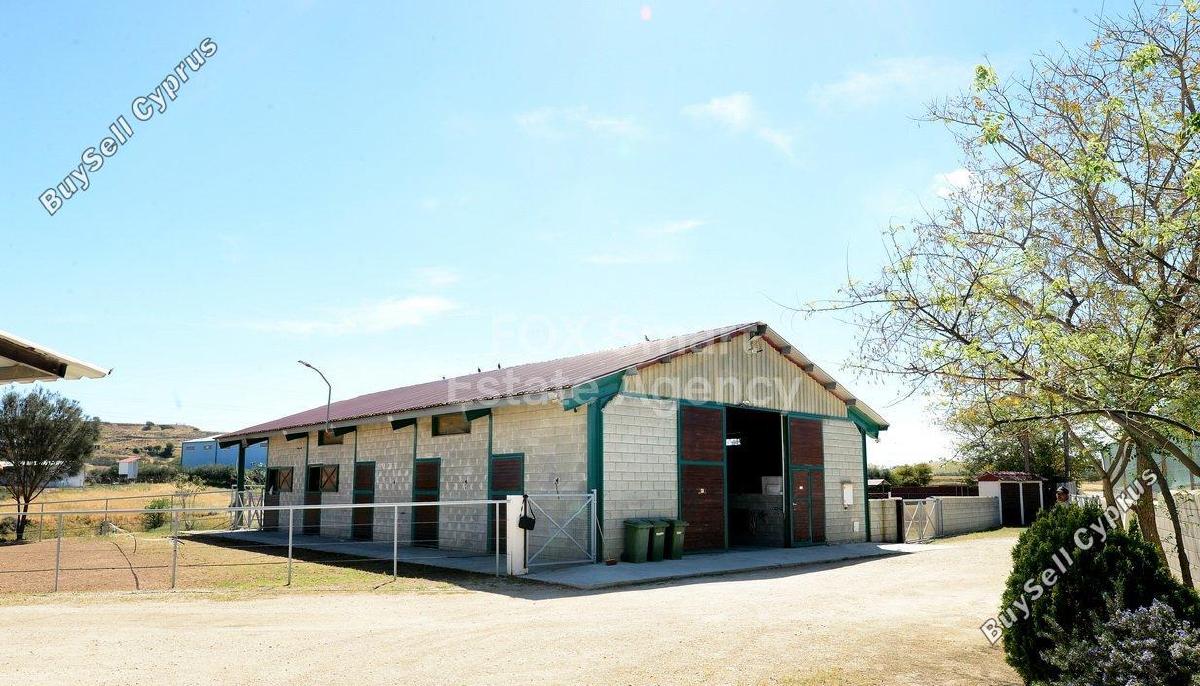 studio shop for sale ergates nicosia 8771821 image 16583305