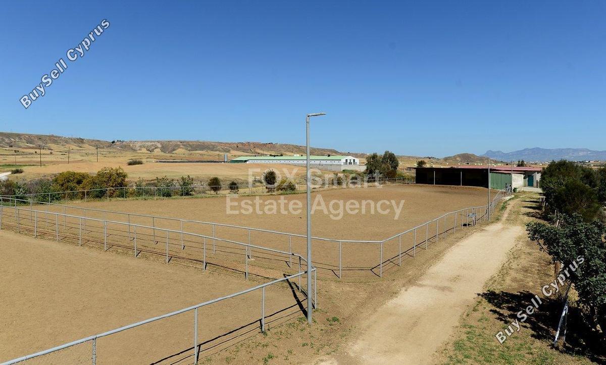 studio shop for sale ergates nicosia 8771821 image 16583308