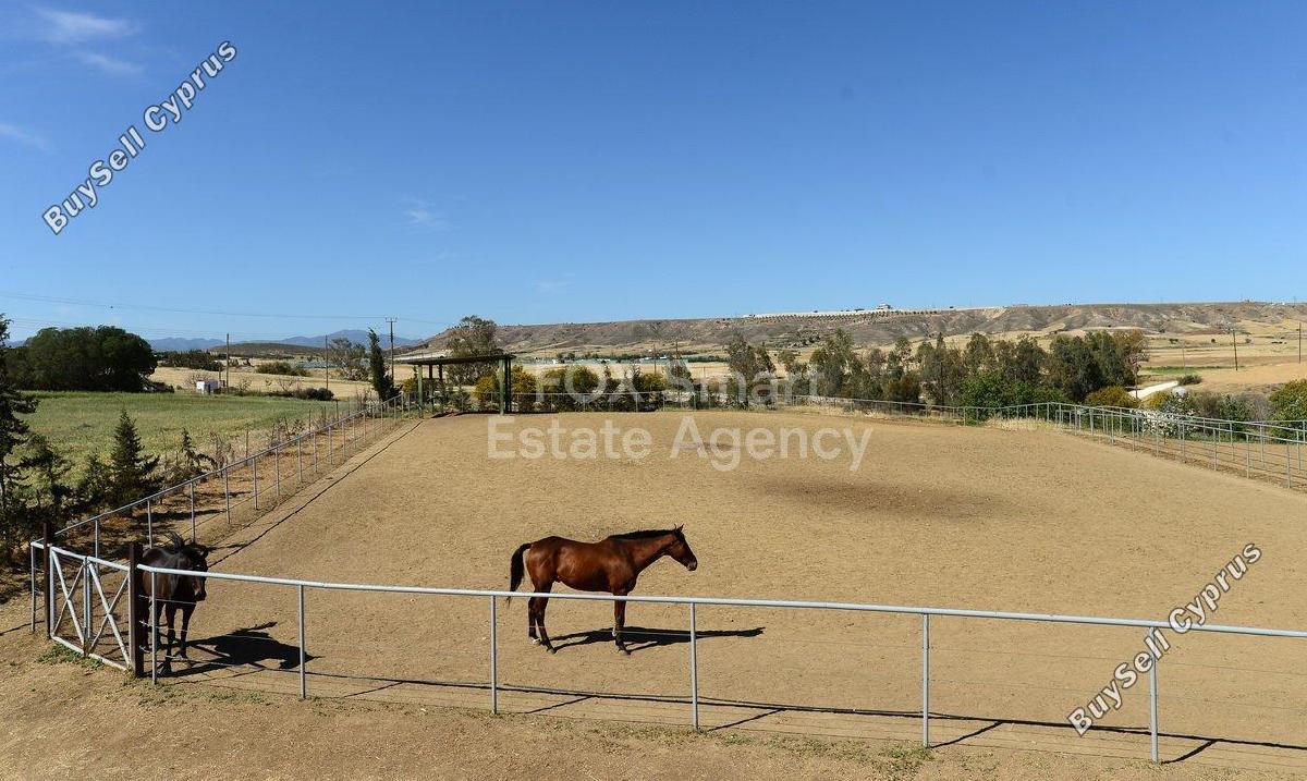 studio shop for sale ergates nicosia 8771821 image 16583309
