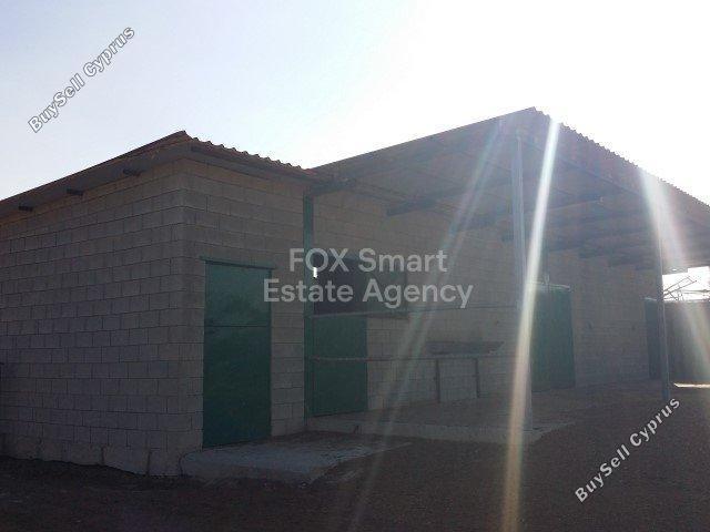 studio shop for sale ergates nicosia 8771821 image 16583314