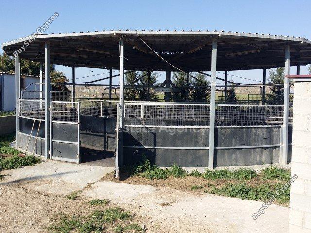 studio shop for sale ergates nicosia 8771821 image 16583315