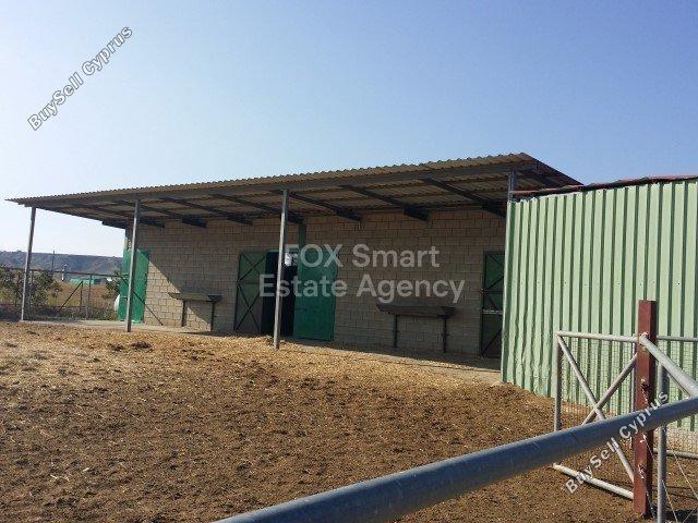 studio shop for sale ergates nicosia 8771821 image 16583323