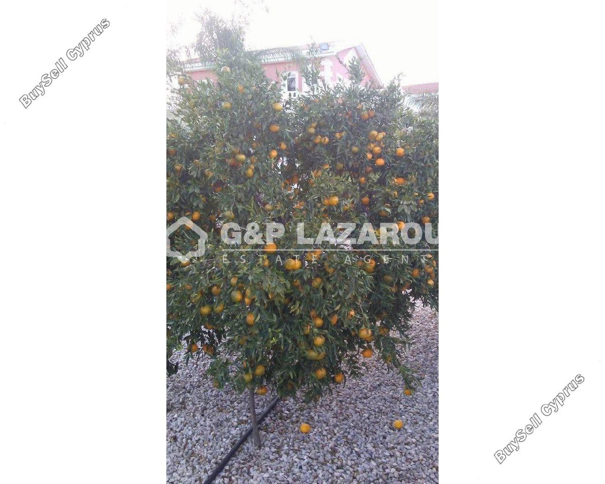 4 bedroom detached house for sale palaiometocho nicosia 8499921 image 15633320