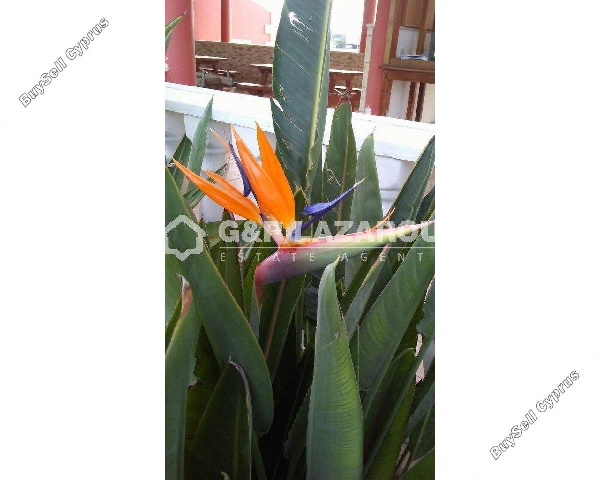 4 bedroom detached house for sale palaiometocho nicosia 8499921 image 15633324