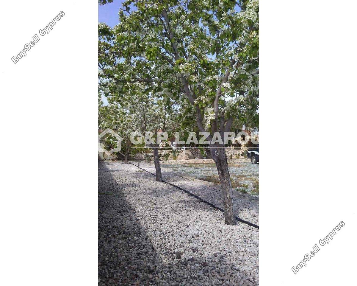 4 bedroom detached house for sale palaiometocho nicosia 8499921 image 15633326