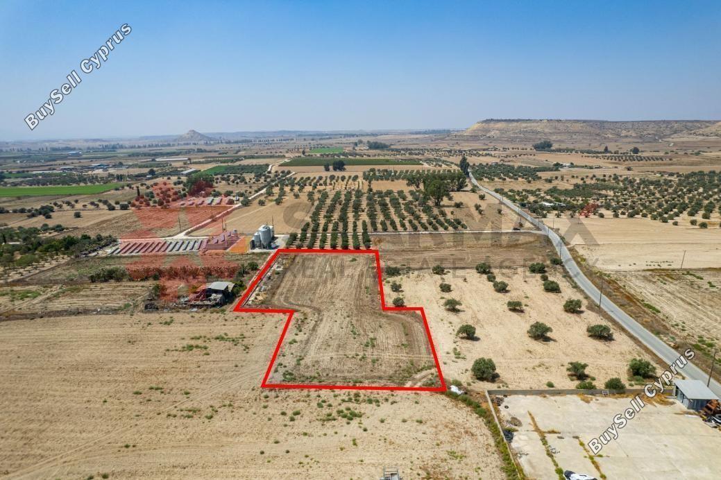 land for sale athienou larnaca 7903031 image 11107577